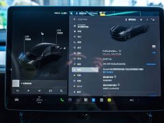 Tesla Model Y 2023 High Performance All-Wheel Drive - ფოტო 16