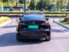 Tesla Model Y 2023 High Performance All-Wheel Drive - ფოტო 4