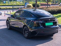 Tesla Model Y 2023 High Performance All-Wheel Drive - ფოტო 6