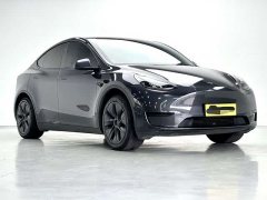 Tesla Model Y Rear-Wheel Drive - ფოტო 3