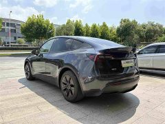 Tesla Model Y 2024 Rear-Wheel Drive - ფოტო 12