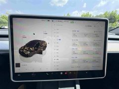 Tesla Model Y 2024 Rear-Wheel Drive - ფოტო 6