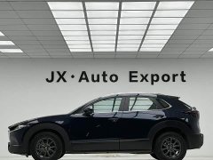 Mazda CX-30 2021 2.0L Automatic Comfort Edition - ფოტო 5