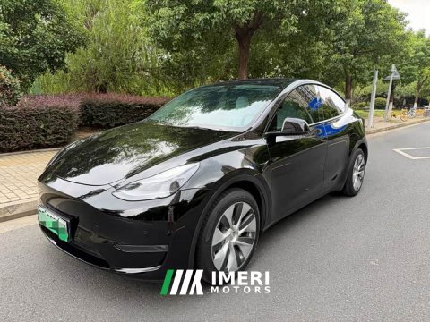 2021 Tesla Model Y Standard Range RWD - ავტომობილი ჩინეთიდან