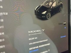 Tesla Model Y Standard Range RWD - ფოტო 15