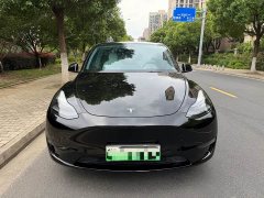 Tesla Model Y Standard Range RWD - ფოტო 2