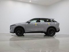 Changan Dà V 260T Xinxing Edition Pro - ფოტო 9