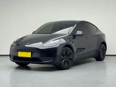 Tesla Model Y Rear-Wheel Drive - ფოტო 1