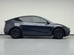 Tesla Model Y Rear-Wheel Drive - ფოტო 7