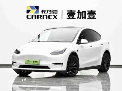 Tesla Model Y Performance All-Wheel Drive - ფოტო 1