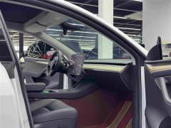 Tesla Model Y Performance All-Wheel Drive - ფოტო 10