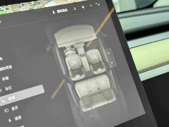 Tesla Model Y Performance All-Wheel Drive - ფოტო 15