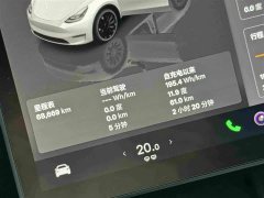 Tesla Model Y Performance All-Wheel Drive - ფოტო 17