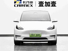 Tesla Model Y Performance All-Wheel Drive - ფოტო 2