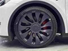 Tesla Model Y Performance All-Wheel Drive - ფოტო 4