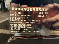 Denza BYD Denza D9 EV 600 AWD Flagship - ფოტო 17