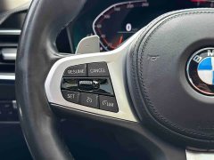 BMW 3 Series Facelift 325Li M Sport Night Edition Package - ფოტო 10