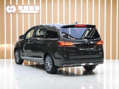 Buick GL8 Land Executive Cabin 652T Luxury - ფოტო 20