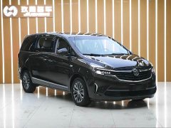 Buick GL8 Land Executive Cabin 652T Luxury - ფოტო 3