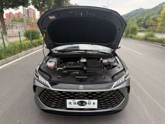BYD Qin PLUS DM-i 128KM Entry-Level - ფოტო 8