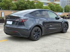 Tesla Model Y 2024 Rear-Wheel Drive - ფოტო 6