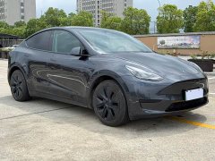 Tesla Model Y 2024 Rear-Wheel Drive - ფოტო 7