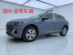 Audi e-tron 2021 50 quattro Luxury - ფოტო 1