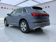 Audi e-tron 2021 50 quattro Luxury - ფოტო 6