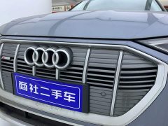 Audi e-tron 2021 50 quattro Luxury - ფოტო 8