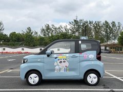 Chery QQ Ice Cream 120km Milkshake LFP Battery - ფოტო 4