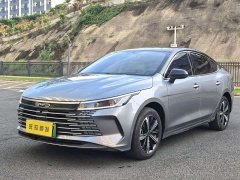 BYD Destroyer 05 Champion Edition DM-i 120KM Luxury - ფოტო 1