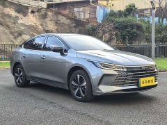 BYD Destroyer 05 Champion Edition DM-i 120KM Luxury - ფოტო 3