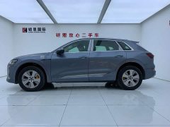 Audi e-tron 2021 50 quattro Luxury - ფოტო 4