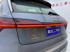 Audi e-tron 2021 50 quattro Luxury - ფოტო 9