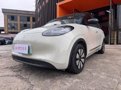 Wuling Binguo 2024 333km Lingxi Connected Edition - ფოტო 1