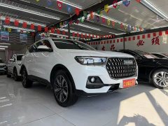 Haval H6 2023 National Trend Edition 1.5T Automatic Champion Version - ფოტო 2