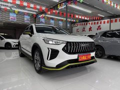 Haval Chitu Jingxiang Edition 1.5T Purple Copper Rabbit - ფოტო 2