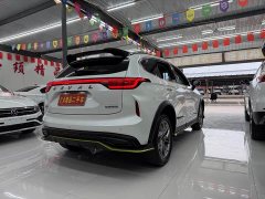 Haval Chitu Jingxiang Edition 1.5T Purple Copper Rabbit - ფოტო 5