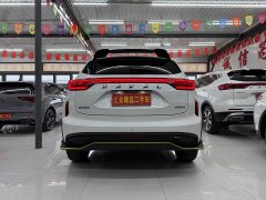Haval Chitu Jingxiang Edition 1.5T Purple Copper Rabbit - ფოტო 6