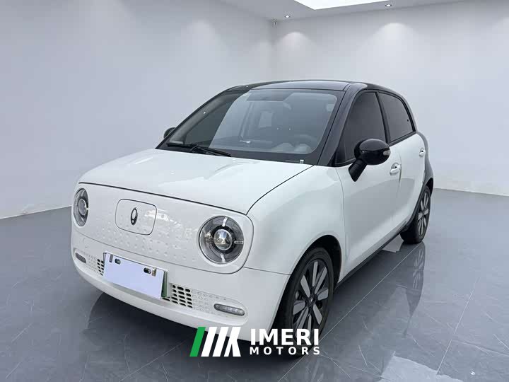 ORA Black Cat 351km Standard - ავტომობილი ჩინეთიდან