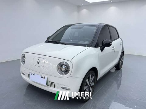 2021 ORA Black Cat 351km Standard - ავტომობილი ჩინეთიდან