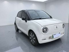 ORA Black Cat 351km Standard - ფოტო 4