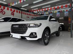 Haval H6 National Trend Edition 1.5T Automatic Champion Version - ფოტო 1
