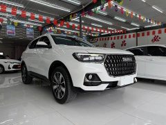 Haval H6 National Trend Edition 1.5T Automatic Champion Version - ფოტო 2