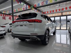 Haval H6 National Trend Edition 1.5T Automatic Champion Version - ფოტო 5