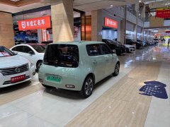Ora White Cat 2022 Upgrade 305km Luxury Trim Ternary Lithium Battery - ფოტო 10