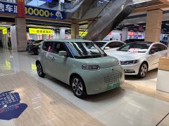 Ora White Cat 2022 Upgrade 305km Luxury Trim Ternary Lithium Battery - ფოტო 3