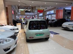 Ora White Cat 2022 Upgrade 305km Luxury Trim Ternary Lithium Battery - ფოტო 8