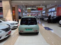 Ora White Cat 2022 Upgrade 305km Luxury Trim Ternary Lithium Battery - ფოტო 9