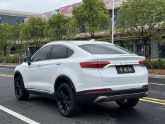 Geely Xingyue 2020 High-Performance Edition 300T Star Master - ფოტო 10